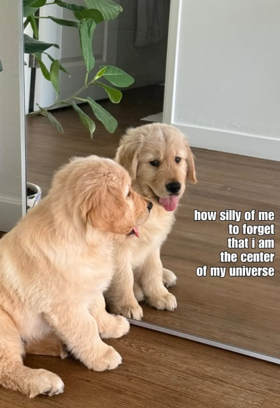 how silly of me to forget that i am the center of my universe