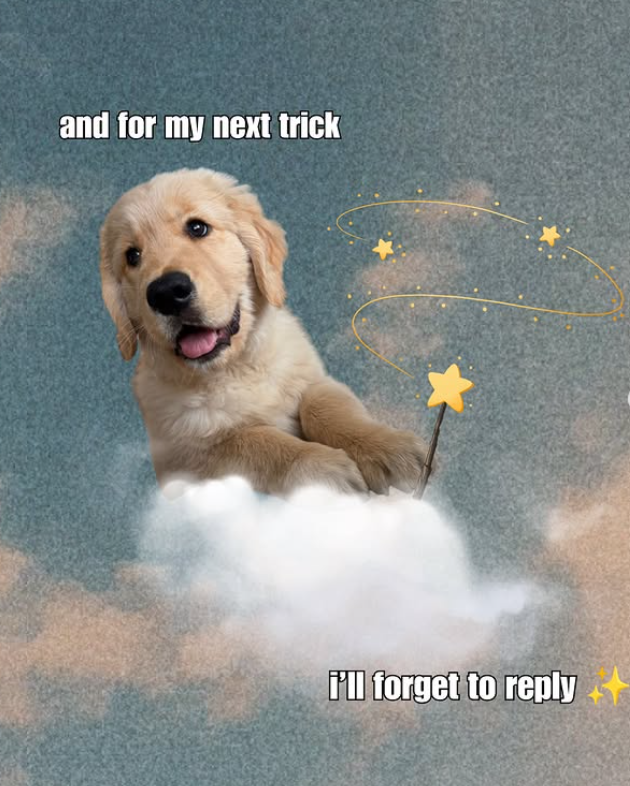 and for my next trick i'll forget to reply +