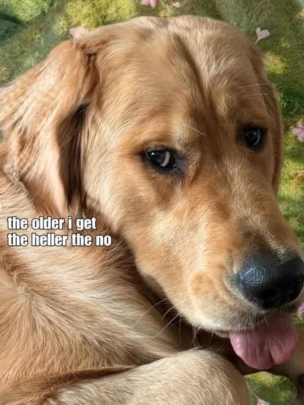the older i get the heller the no