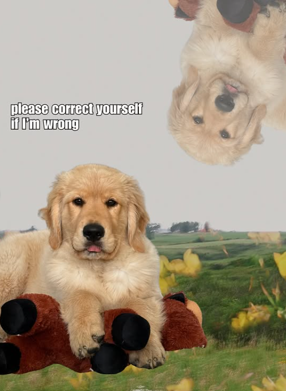 please correct yourself if I'm wrong