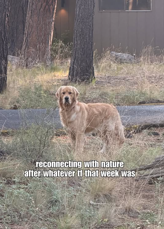 reconnecting with nature after whatever if that week was