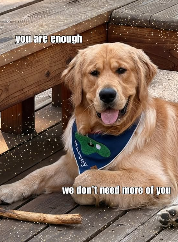 you are enough Harvey we don't need more of you