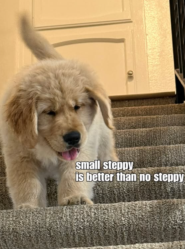 small steppy is better than no steppy