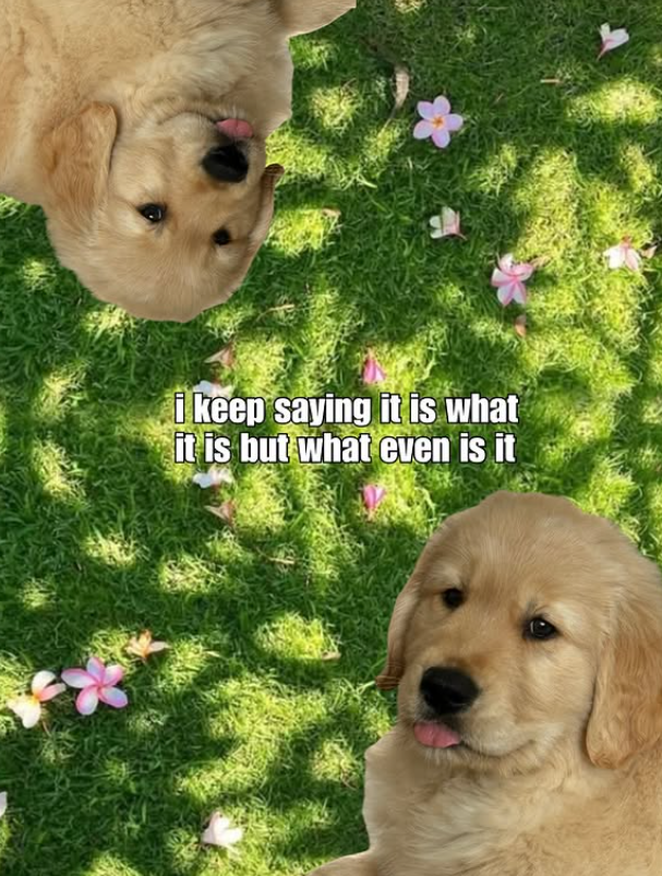i keep saying it is what it is but what even is it