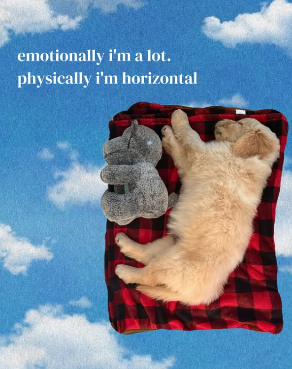 emotionally i'm a lot. physically i'm horizontal
