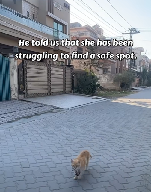 He told us that she has been struggling to find a safe spot.