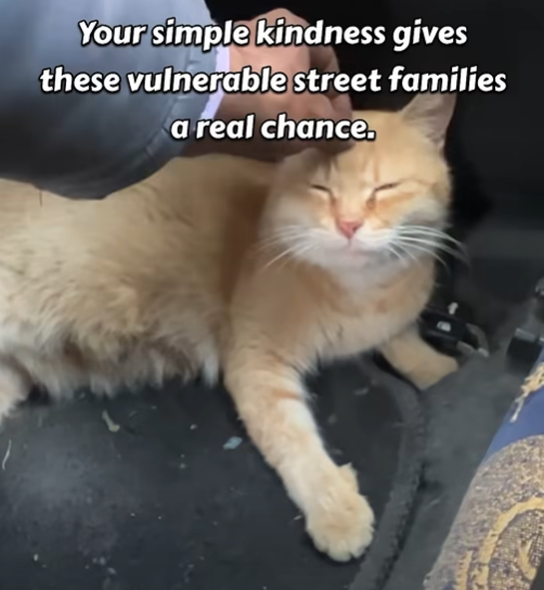 Your simple kindness gives these vulnerable street families a real chance.
