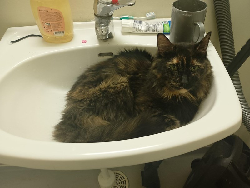 Hand Soap