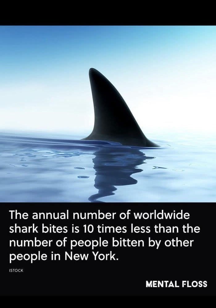 The annual number of worldwide shark bites is 10 times less than the number of people bitten by other people in New York. ISTOCK MENTAL FLOSS