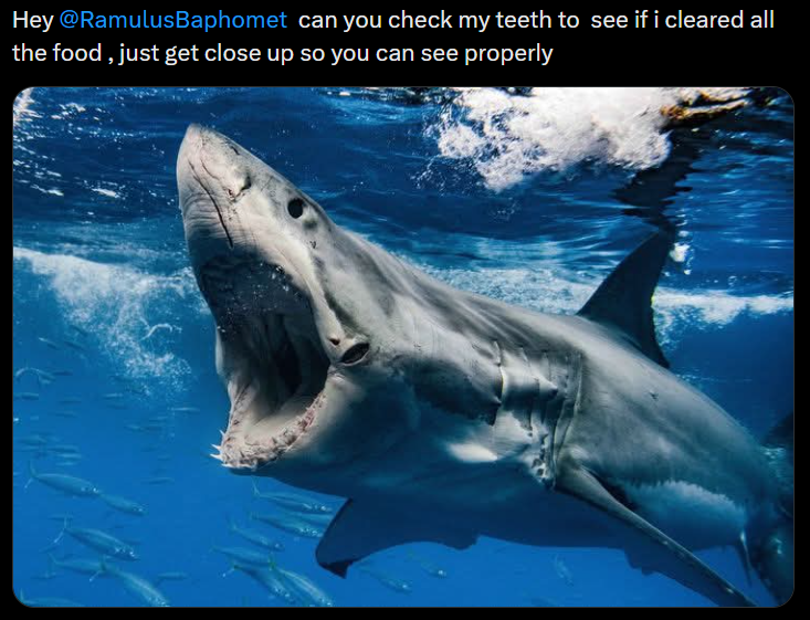 Hey @Ramulus Baphomet can you check my teeth to see if i cleared all the food, just get close up so you can see properly
