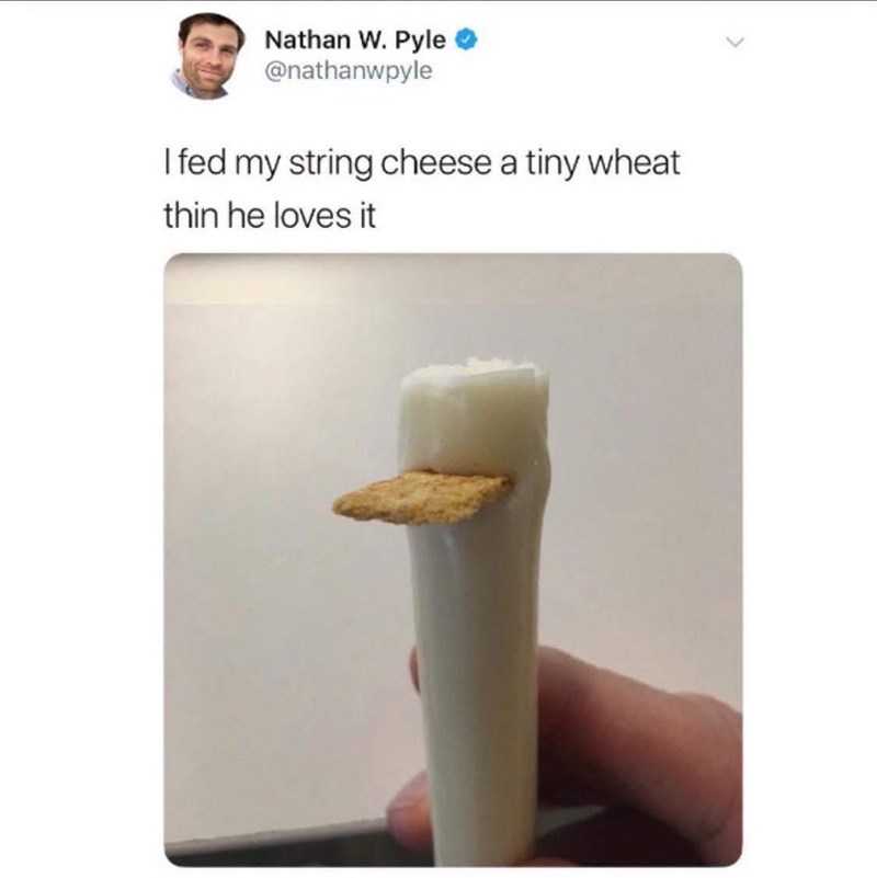 Nathan W. Pyle @nathanwpyle I fed my string cheese a tiny wheat thin he loves it