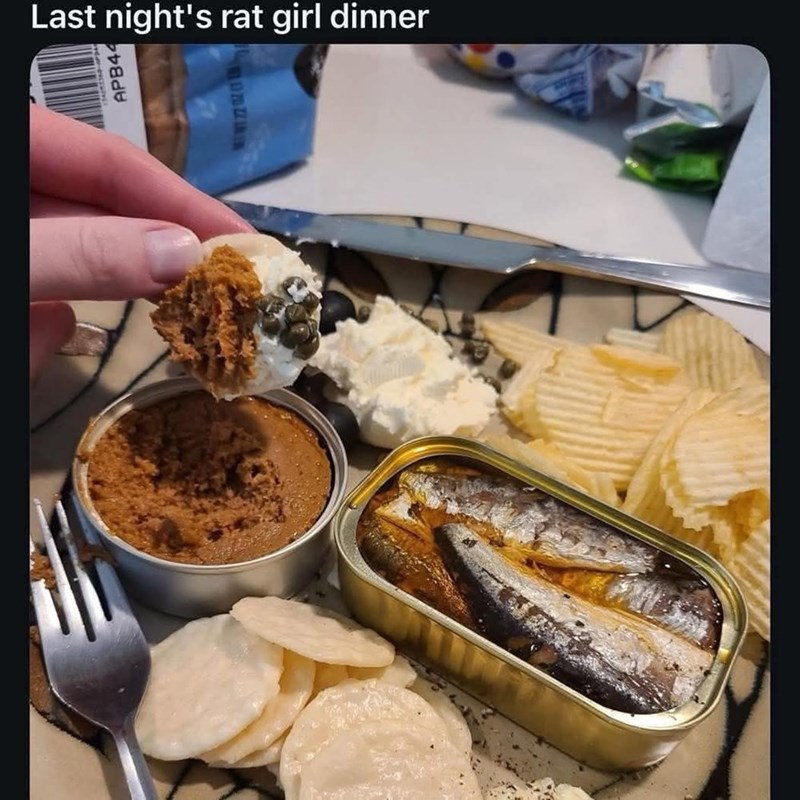 APB44 Last night's rat girl dinner