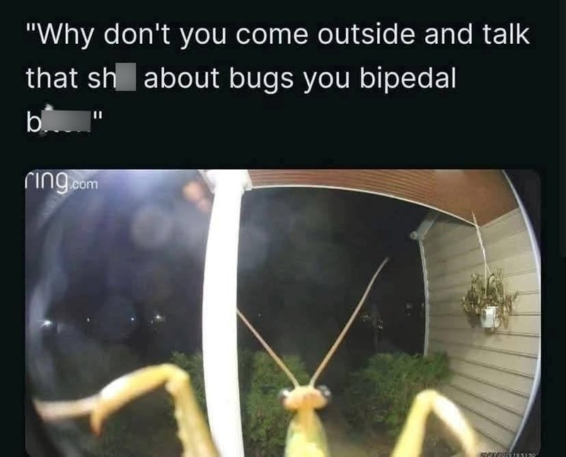 "Why don't you come outside and talk that sh about bugs you bipedal b ring.com