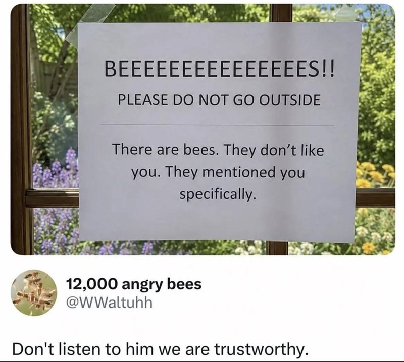 BEEEEEEEEEEEEEEES!! PLEASE DO NOT GO OUTSIDE There are bees. They don't like you. They mentioned you specifically. 12,000 angry bees @WWaltuhh Don't listen to him we are trustworthy.