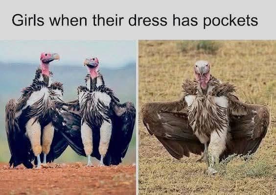 Girls when their dress has pockets