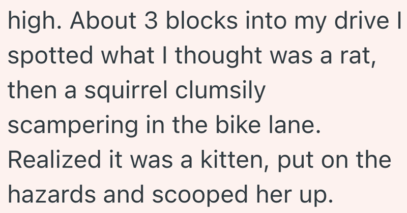 high. About 3 blocks into my drive I spotted what I thought was a rat, then a squirrel clumsily scampering in the bike lane. Realized it was a kitten, put on the hazards and scooped her up.