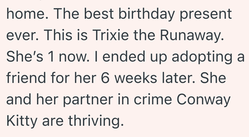 home. The best birthday present ever. This is Trixie the Runaway. She's 1 now. I ended up adopting a friend for her 6 weeks later. She and her partner in crime Conway Kitty are thriving.