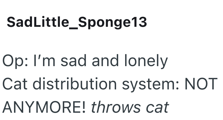 SadLittle_Sponge13 Op: I'm sad and lonely Cat distribution system: NOT ANYMORE! throws cat