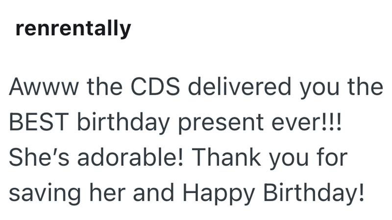 renrentally Awww the CDS delivered you the BEST birthday present ever!!! She's adorable! Thank you for saving her and Happy Birthday!