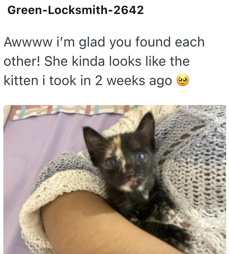 Green-Locksmith-2642 Awwww i'm glad you found each other! She kinda looks like the kitten i took in 2 weeks ago
