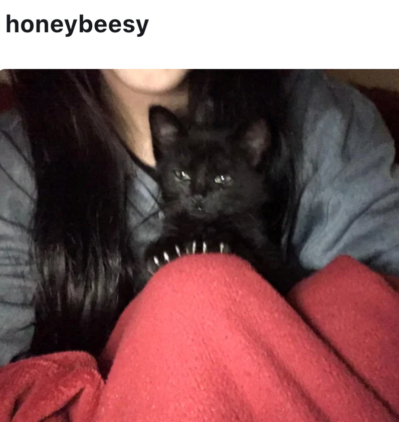 honeybeesy