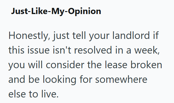 Just-Like-My-Opinion Honestly, just tell your landlord if this issue isn't resolved in a week, you will consider the lease broken and be looking for somewhere else to live.