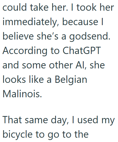 could take her. I took her immediately, because I believe she's a godsend. According to ChatGPT and some other Al, she looks like a Belgian Malinois. That same day, I used my bicycle to go to the