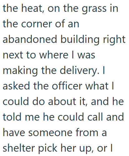the heat, on the grass in the corner of an abandoned building right next to where I was making the delivery. I asked the officer what I could do about it, and he told me he could call and have someone from a shelter pick her up, or I