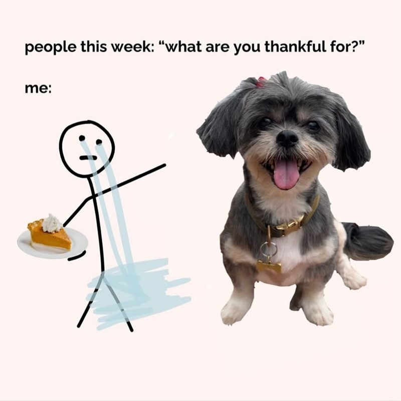 people this week: "what are you thankful for?" me: