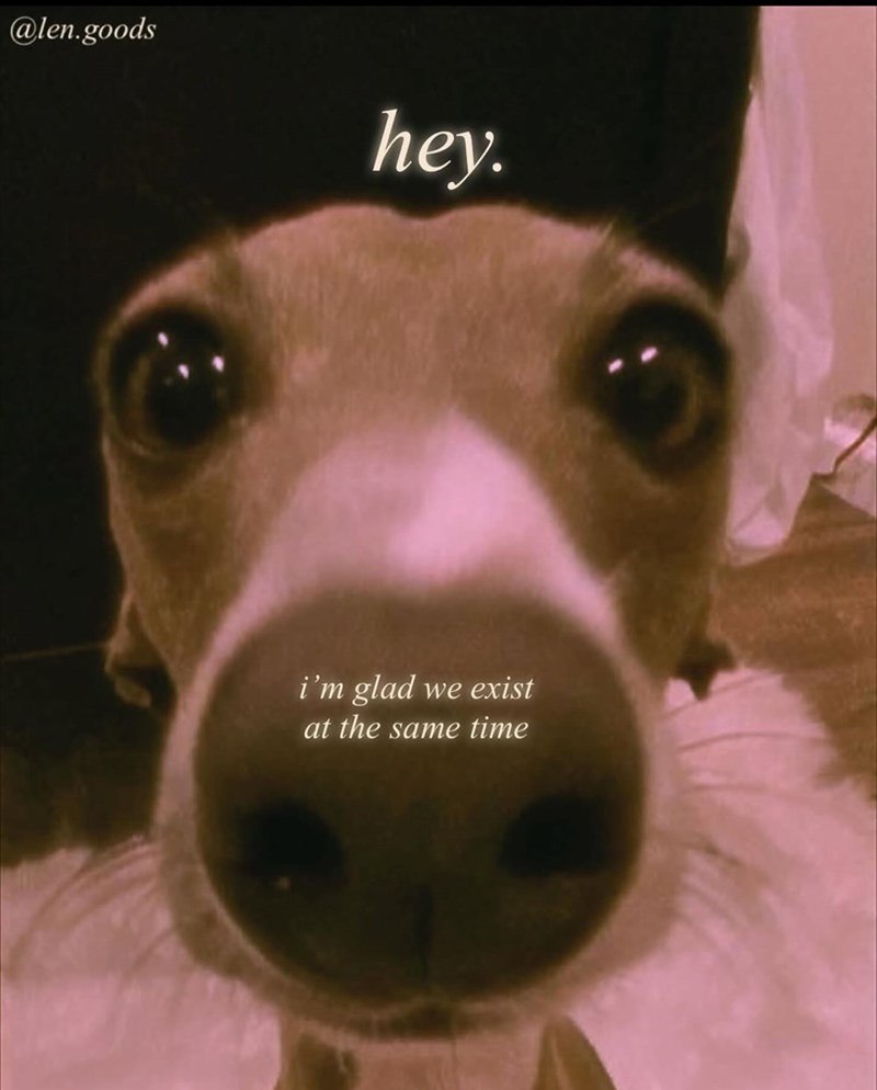 @len.goods hey. i'm glad we exist at the same time