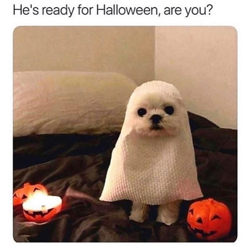 He's ready for Halloween, are you?