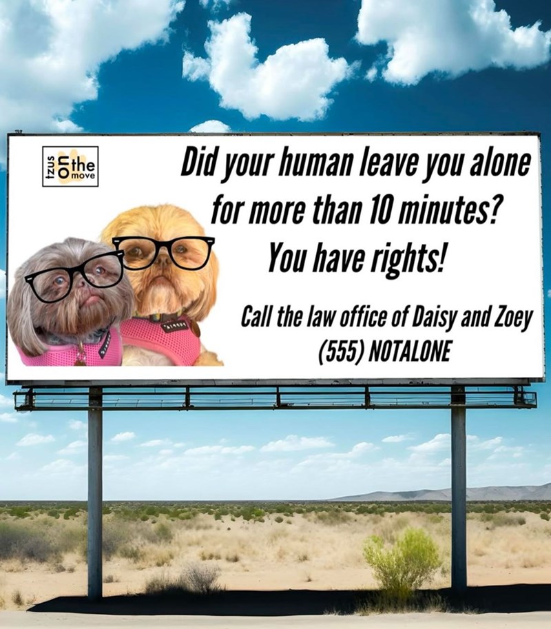 the move Did your human leave you alone for more than 10 minutes? You have rights! Call the law office of Daisy and Zoey (555) NOTALONE