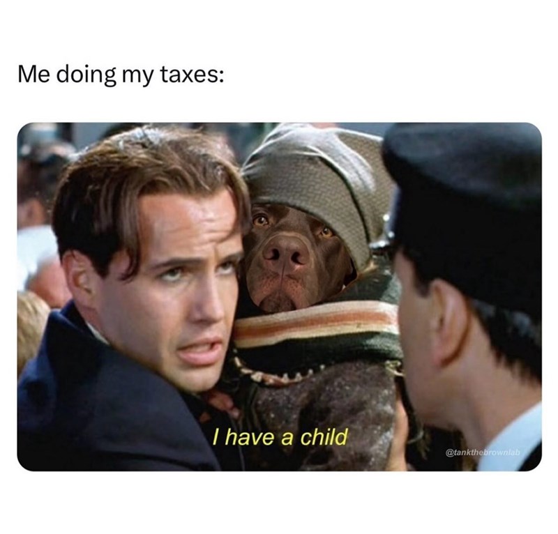 Me doing my taxes: I have a child @tankthebrownlab