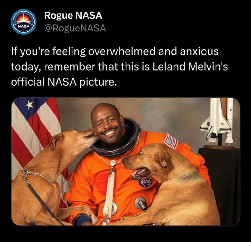 NASA Rogue NASA @RogueNASA If you're feeling overwhelmed and anxious today, remember that this is Leland Melvin's official NASA picture.