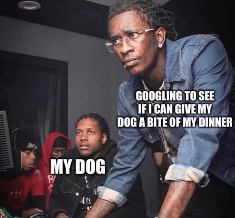 SE MY DOG P/ GOOGLING TO SEE IF I CAN GIVE MY DOG A BITE OF MY DINNER