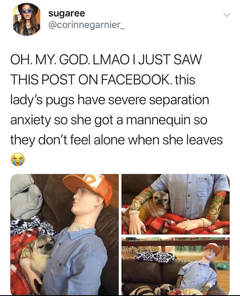 sugaree @corinnegarnier_ OH. MY. GOD. LMAO I JUST SAW THIS POST ON FACEBOOK. this lady's pugs have severe separation anxiety so she got a mannequin so they don't feel alone when she leaves