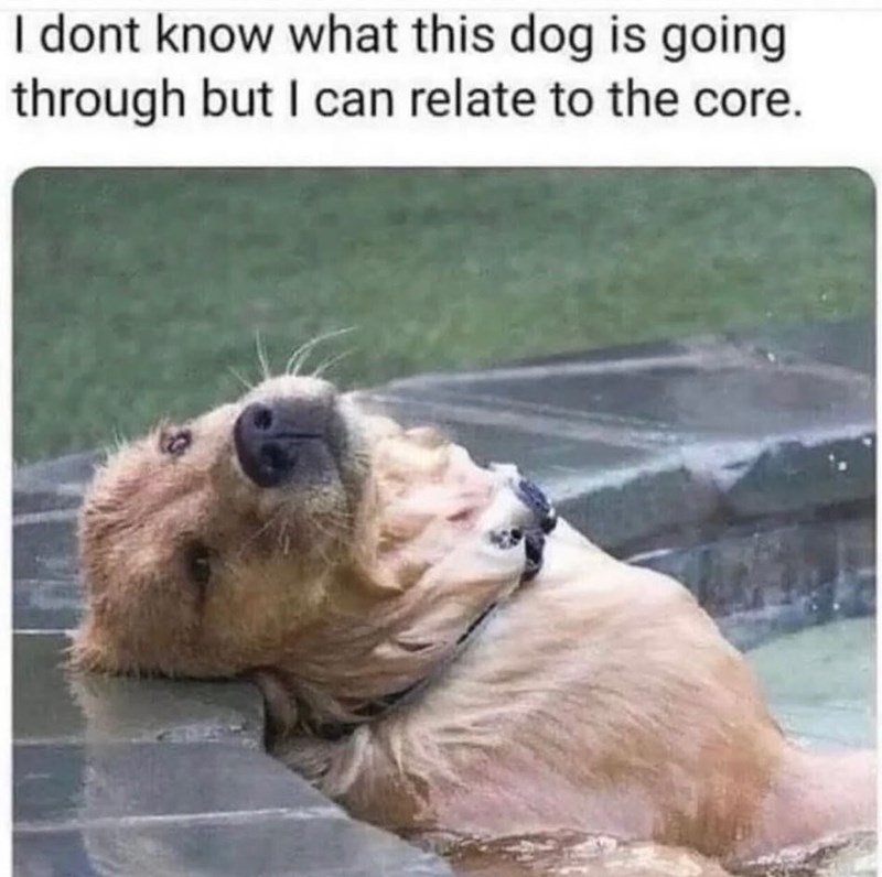 I dont know what this dog is going through but I can relate to the core.