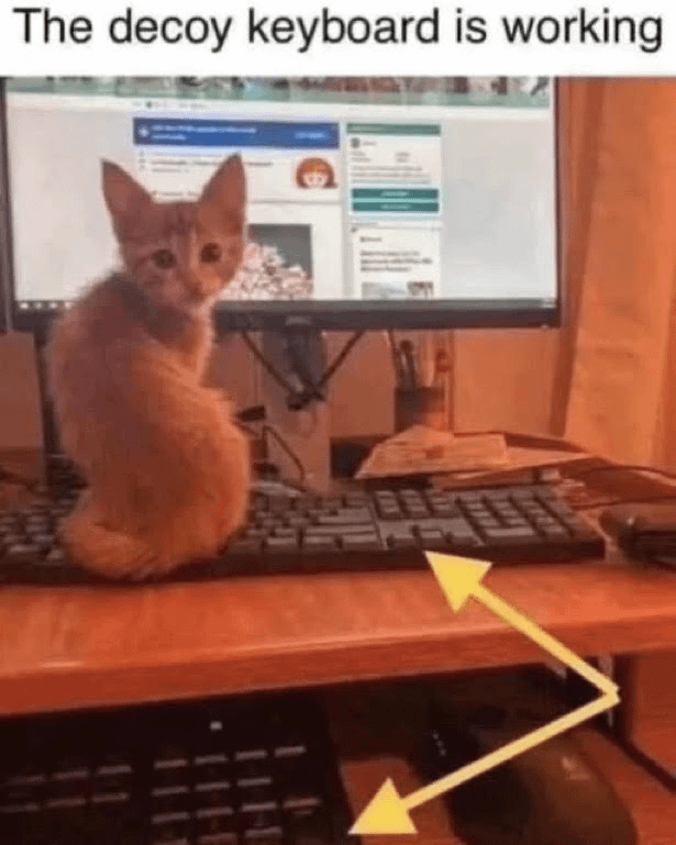 The decoy keyboard is working