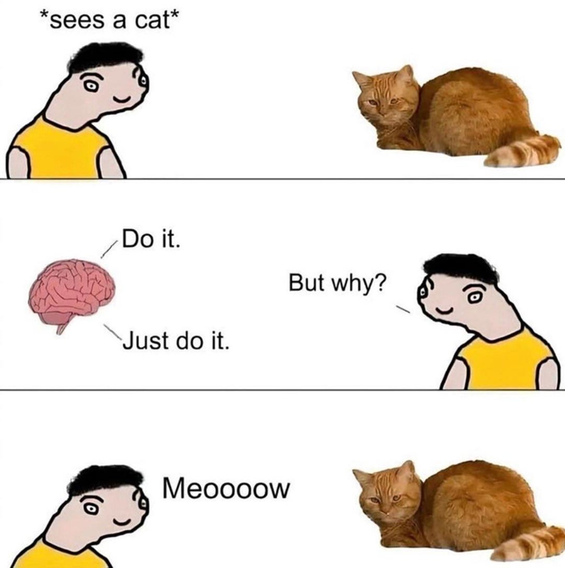 *sees a cat* Do it. Just do it. Meoooow But why?