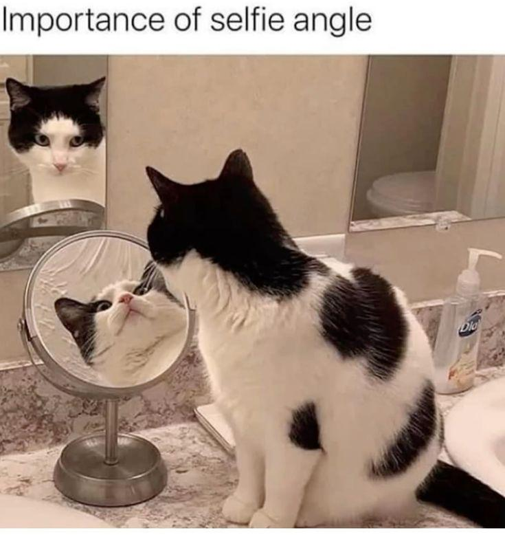 Importance of selfie angle Dio
