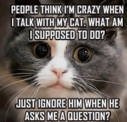 PEOPLE THINK I'M CRAZY WHEN I TALK WITH MY CAT. WHAT AM I SUPPOSED TO DO? JUST IGNORE HIM WHEN HE ASKS ME A QUESTION?