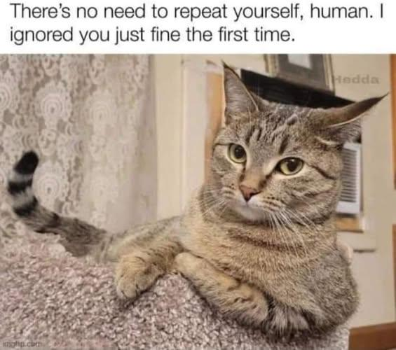 There's no need to repeat yourself, human. I ignored you just fine the first time. ship.com Hedda