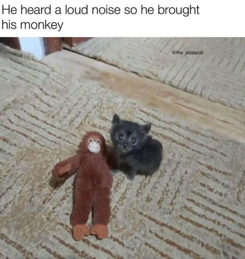 He heard a loud noise so he brought his monkey @the_pizzacat