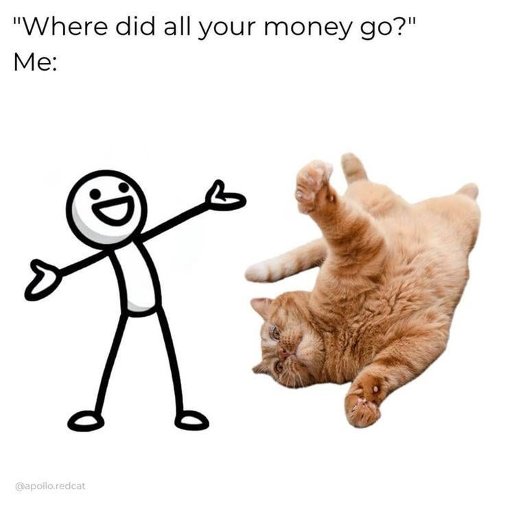 "Where did all your money go?" Me: D मैं @apollo.redcat