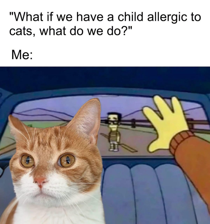 "What if we have a child allergic to cats, what do we do?" Me: