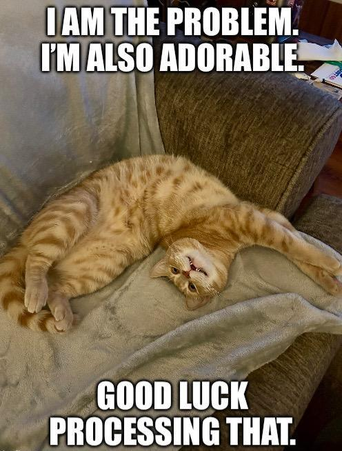 I AM THE PROBLEM. I'M ALSO ADORABLE. GOOD LUCK PROCESSING THAT.