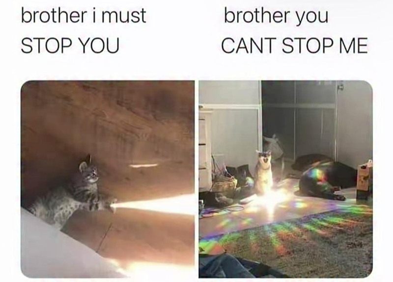brother i must STOP YOU brother you CANT STOP ME