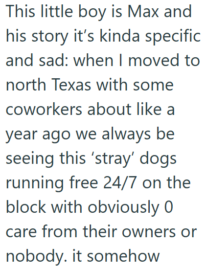 This little boy is Max and his story it's kinda specific and sad: when I moved to north Texas with some coworkers about like a year ago we always be seeing this 'stray' dogs running free 24/7 on the block with obviously 0 care from their owners or nobody. it somehow