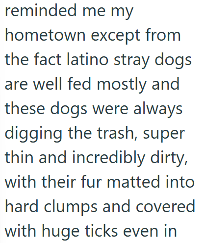 reminded me my hometown except from the fact latino stray dogs are well fed mostly and these dogs were always digging the trash, super thin and incredibly dirty, with their fur matted into hard clumps and covered with huge ticks even in