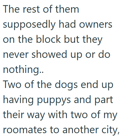 The rest of them supposedly had owners on the block but they never showed up or do nothing.. Two of the dogs end up having puppys and part their way with two of my roomates to another city,